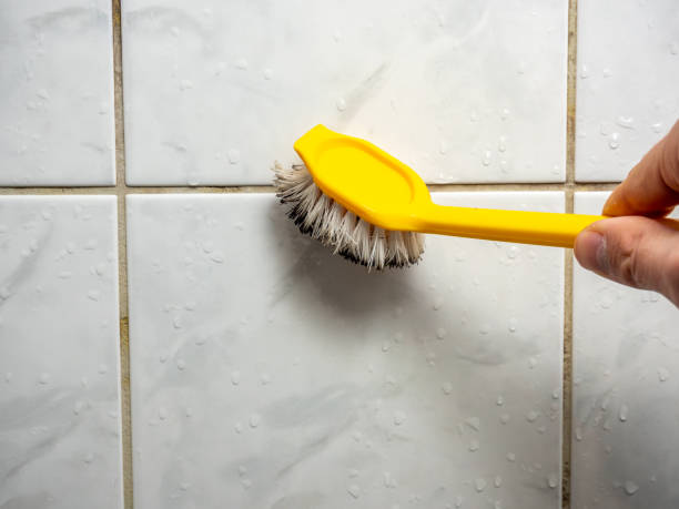 Best Best Mold Removal Companies  in North Hartsville, SC